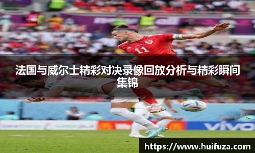 法国与威尔士精彩对决录像回放分析与精彩瞬间集锦